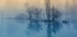 Morning reflection - Posterbox