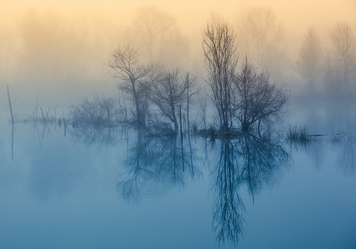 Morning reflection - Posterbox