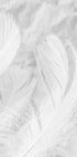 Soft Feather Poster - Posterbox.no