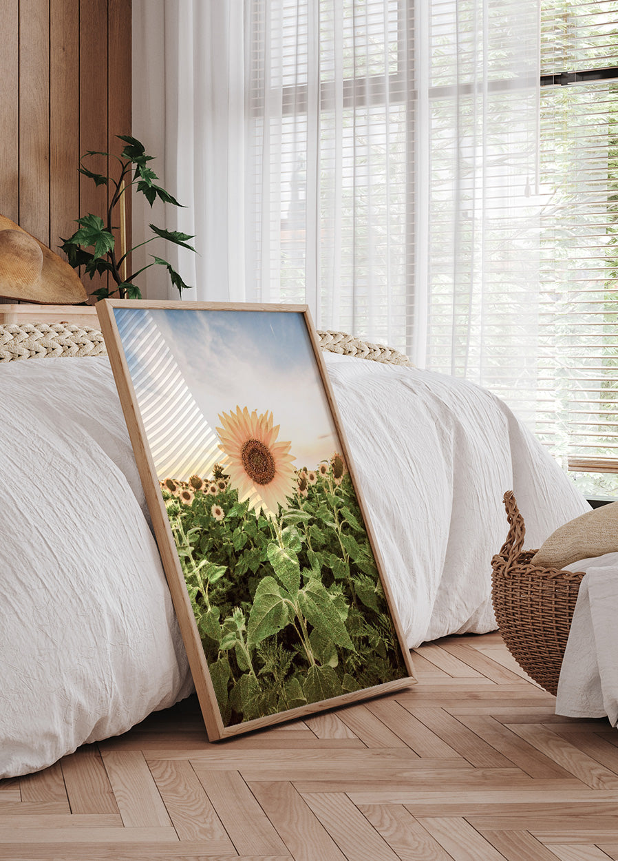Sonnenblumen-Poster - Posterbox.no