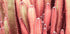 Feenrotes Kaktuspflanzen-Poster - Posterbox.no