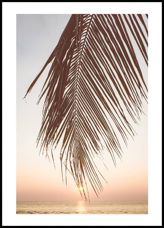 Sonnenuntergang-Palmblatt-Poster - Posterbox.no