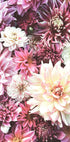 Blumen in Rosa Poster - Posterbox.no