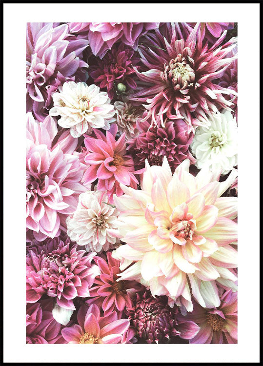 Blumen in Rosa Poster - Posterbox.no