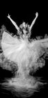Powder Burst - Posterbox