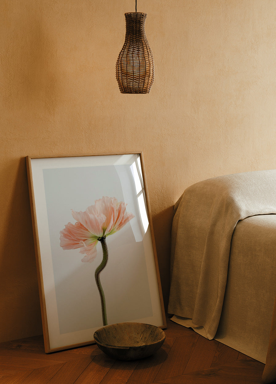 Pfirsichfarbenes Mohnblumen-Poster - Posterbox.no