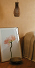 Pfirsichfarbenes Mohnblumen-Poster - Posterbox.no