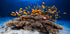 Marine Life - Posterbox