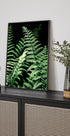 Waldfarne Poster - Posterbox.no