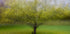 The Cat by the Tree - Posterbox