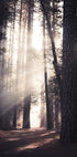 Yosemite Valley Poster - Posterbox.no