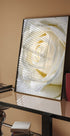 Rose Dew Poster - Posterbox.no