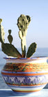 Sukkulenten-Vase-Seaside-Poster - Posterbox.no