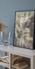 Frozen Laceflower Poster - Posterbox.no