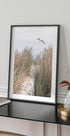 Möwe & Strandgras Poster - Posterbox.no