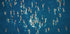 Schwimmendes Wandkunst-Poster - Posterbox.dk