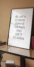 Wie eine Blume Poster - Posterbox.no
