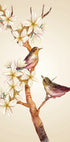 Poster „Vogel auf Ast“ – Posterbox.dk