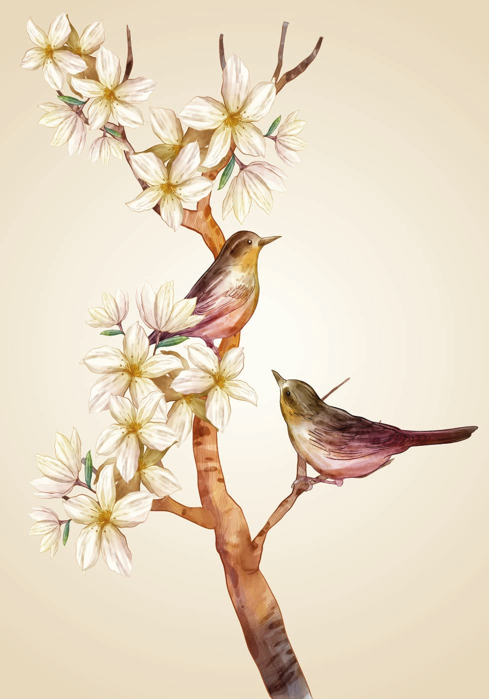 Poster „Vogel auf Ast“ – Posterbox.dk