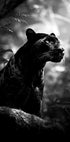 Majestic Black Panther Plakat - Posterbox