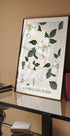 Poster mit Kamelienblüten - Posterbox.dk