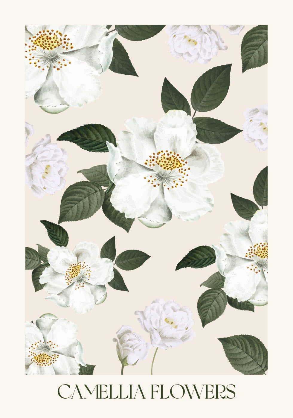 Poster mit Kamelienblüten - Posterbox.dk