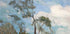 Céu De Teresópolis von Eliseu Visconti Poster - Posterbox.dk