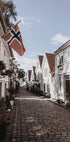 Gemütliche Straße in Norwegen Poster - Posterbox.dk