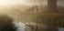 Poster „Hirsch im Nebel“ - Posterbox.dk