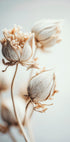 Delicate Blossoms Plakat - Posterbox