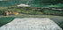 Blumenwiese im Norden von Harald Sohlberg Poster - Posterbox.dk