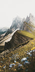 Blumen auf dem Berg Poster - Posterbox.dk