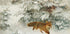 Fuchs in der Winterlandschaft von Bruno Liljefors Nr. 1 Poster - Posterbox.dk