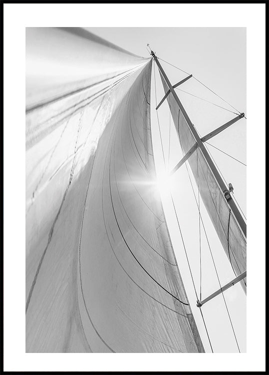 Segel im Sonnenlicht Poster - Posterbox.dk