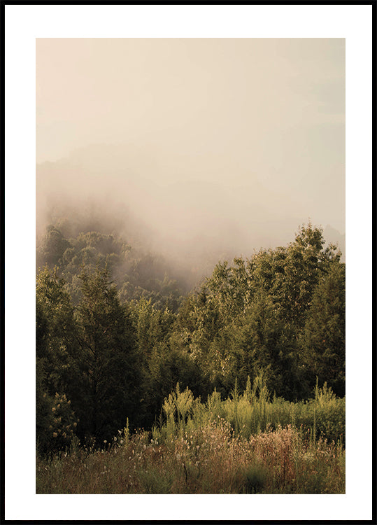 Poster „Nebliger Wald“ - Posterbox.dk