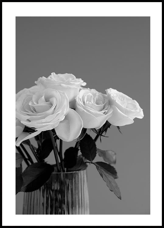 Rosenposter - Posterbox.dk