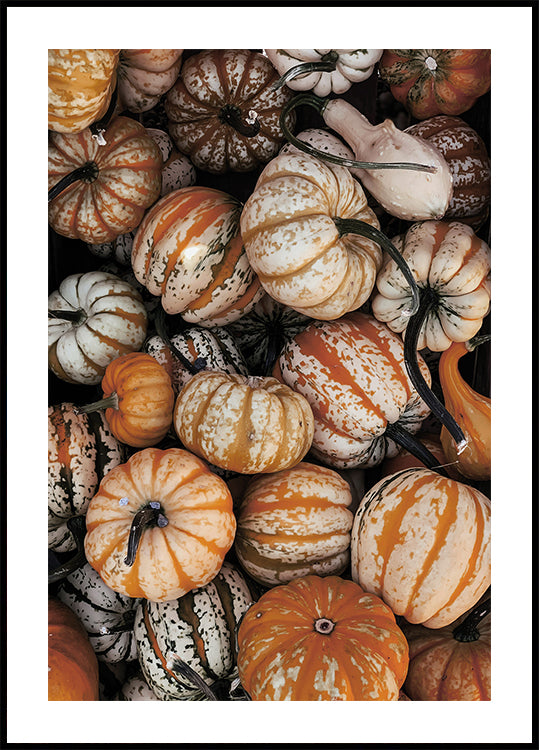 Lebendiges Herbstkürbis-Poster - Posterbox.dk