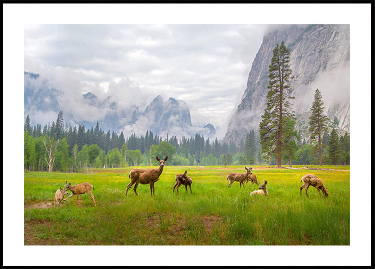 A Feeling of Ancient Time Plakat - Posterbox