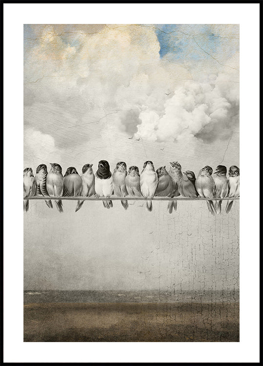 All the Pretty Birds Plakat - Posterbox