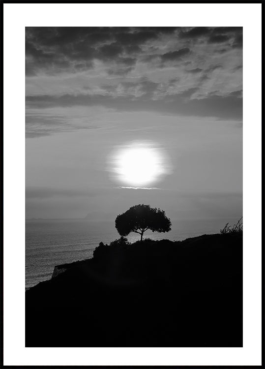 Poster „Ein Baum bei Sonnenuntergang“ - Posterbox.dk