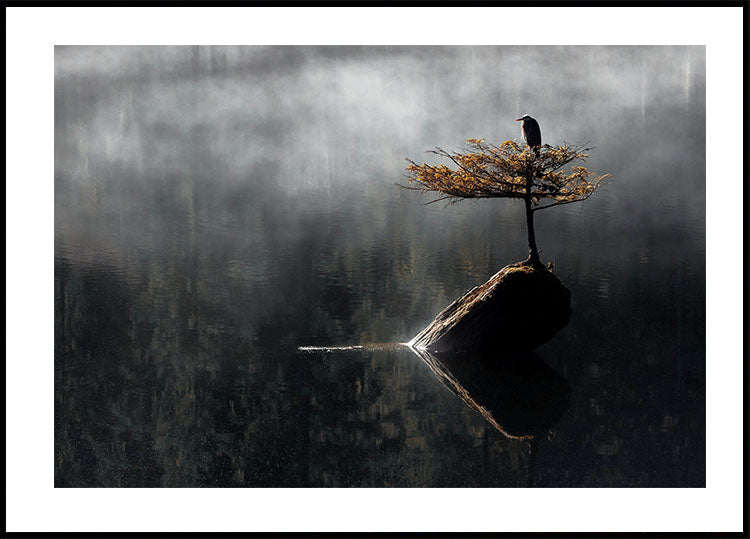 Reiher sitzt auf dem Bonsai-Baum-Poster - Posterbox.dk
