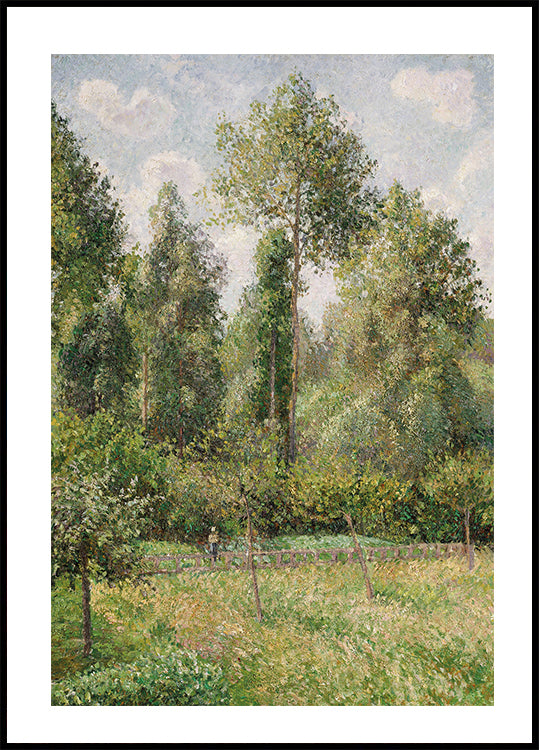 Poplars Éragny von Camille Pissarro Poster - Posterbox.dk