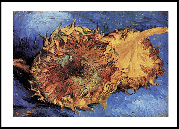 Sonnenblumen von Vincent van Gogh Poster - Posterbox.dk
