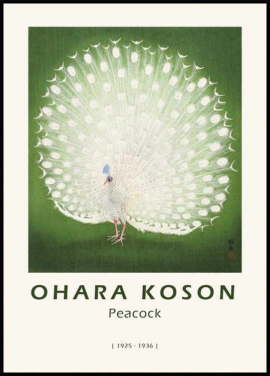 Pfau, japanischer Weißer Pfau Poster - Posterbox.dk