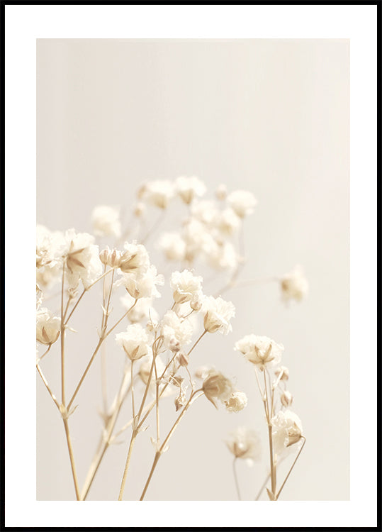 Helle Blumen Poster - Posterbox.dk