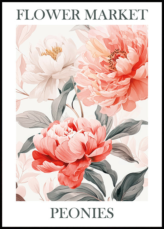 Pfingstrosen-Rosa-Poster - Posterbox.dk