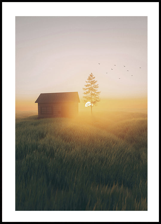 Poster „Sonnenuntergang im Feld“ - Posterbox.dk
