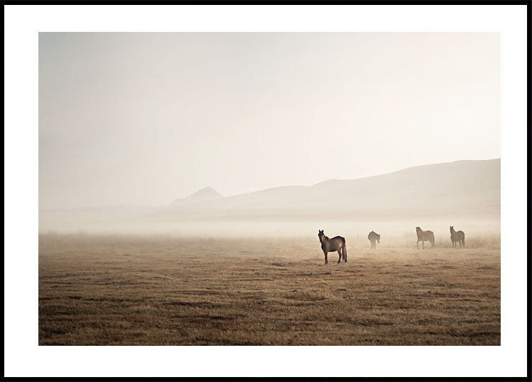 Pferde im Nebel Poster - Posterbox.dk