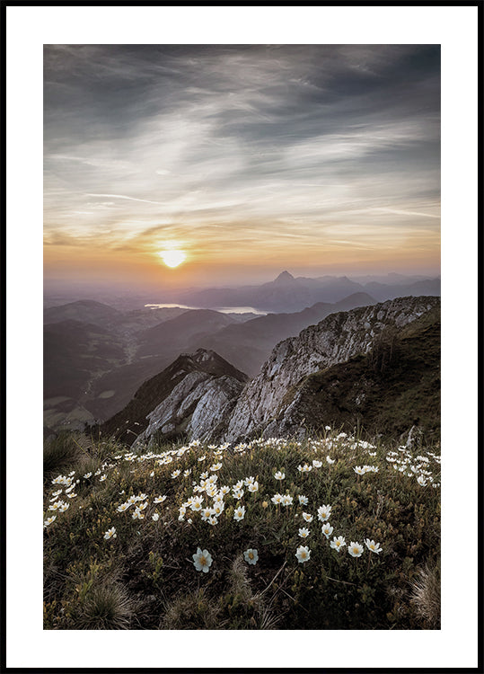 Poster „Sonnenaufgang über Bergwildblumen“ - Posterbox.dk