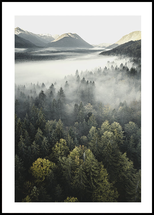 Misty Mountain Poster - Posterbox.dk